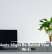 Houseplants Might Be Behind Your Sluggish Wi-Fi